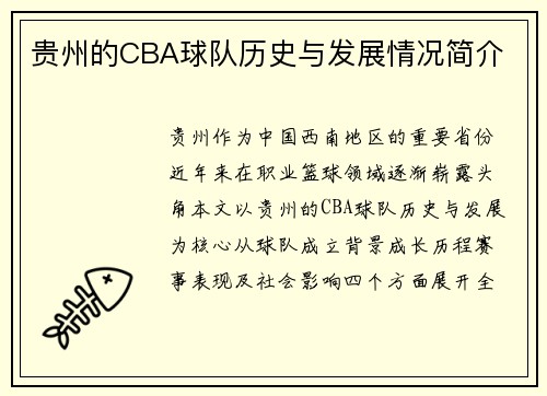 贵州的CBA球队历史与发展情况简介